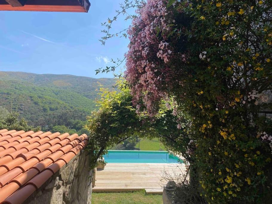 La Loba - Un Pequeno Paraiso A Tu Alcance Villa Fornelos de Montes Buitenkant foto
